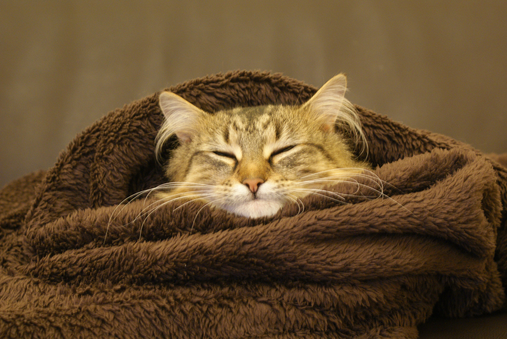 El Hygge