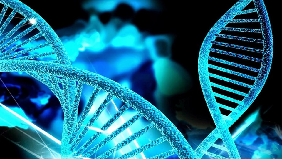 Bizarra anomalia genética faz ‘meninas virarem homens’