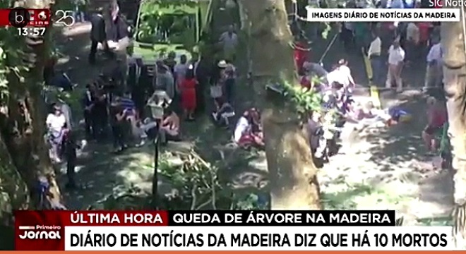 Fatal desenlace en Madeira tras la caída de un árbol