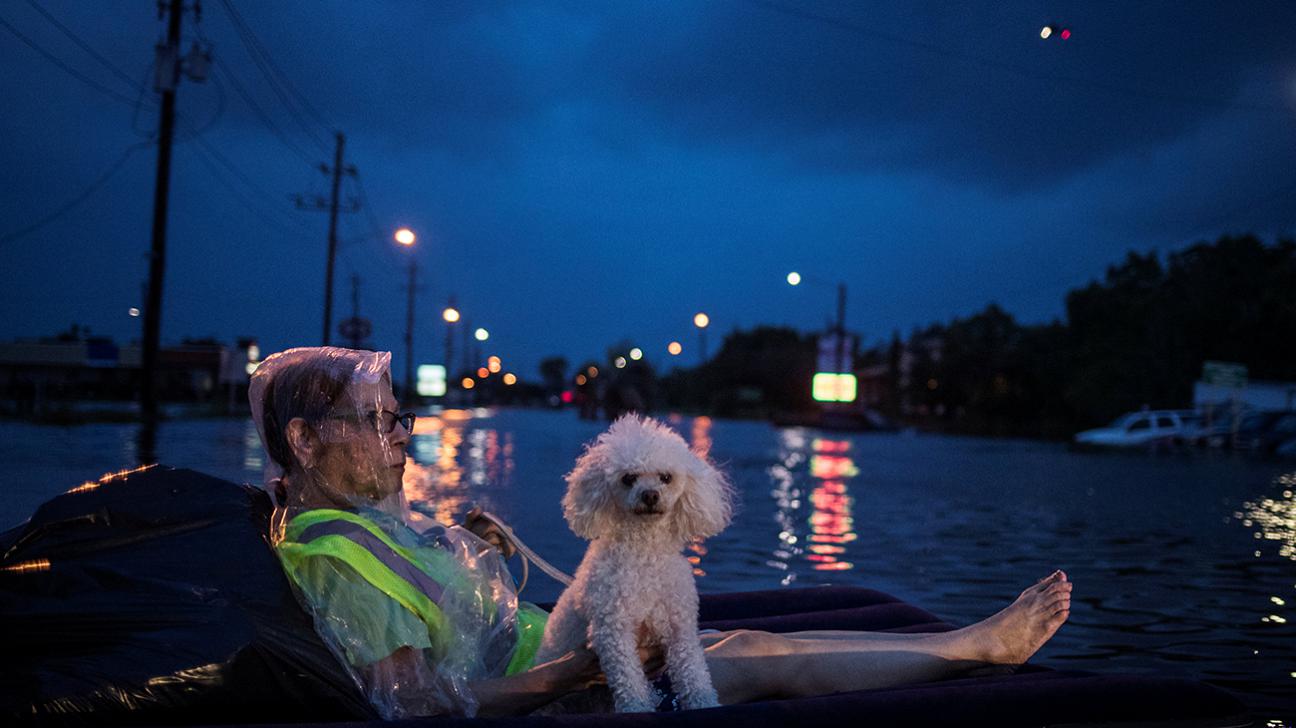 Houston devastated by deadly flooding from Harvey, more rain expected