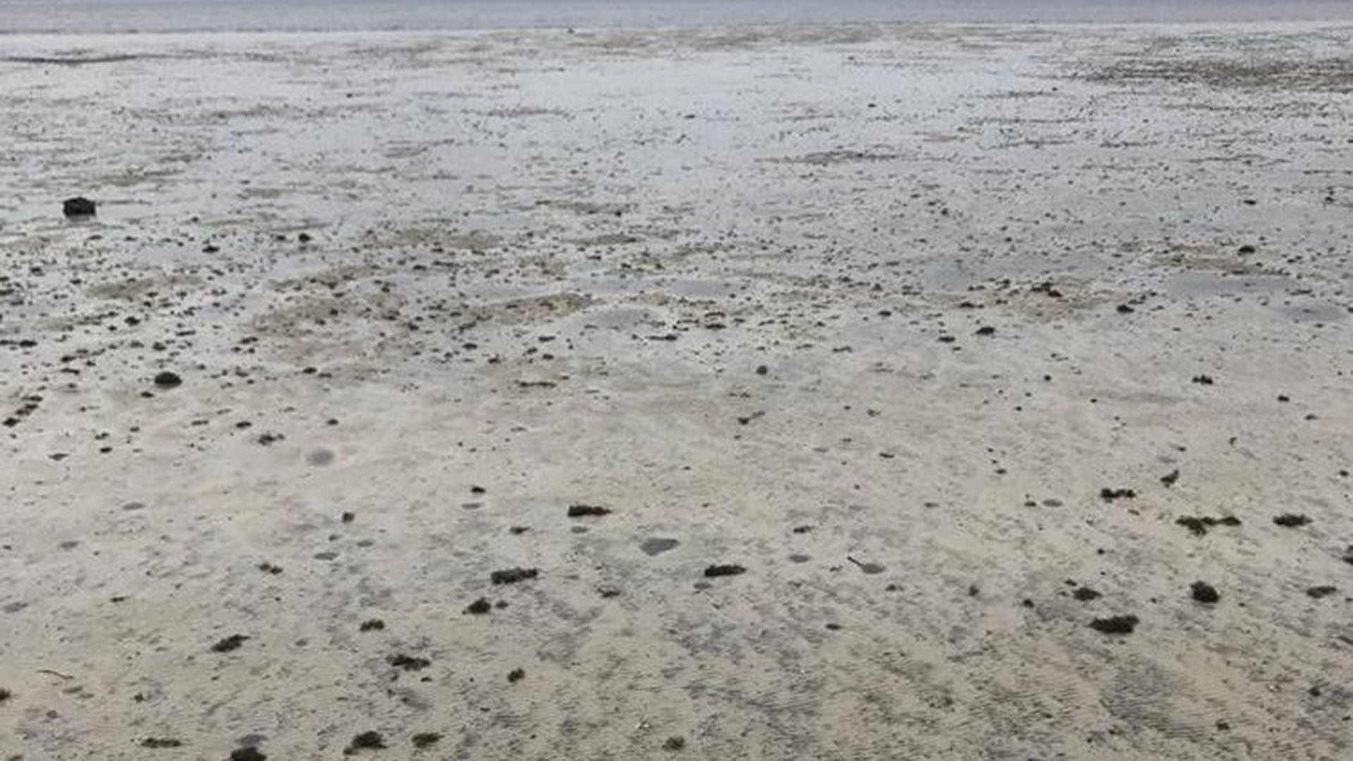 El mar de de las Bahamas desaparece