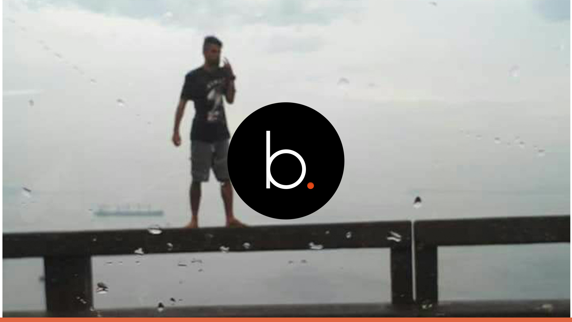 Assista 