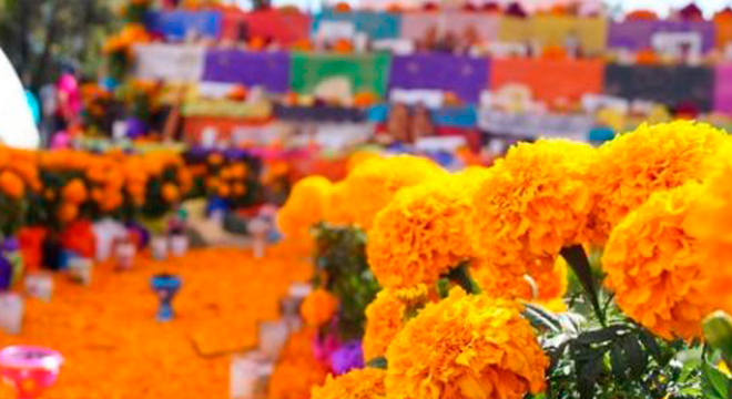 Leyenda de la flor de Cempasúchil