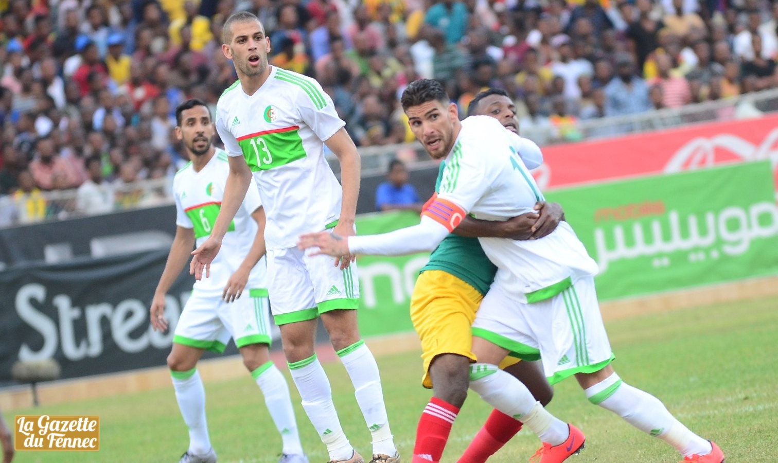 Algérie : L'hallucinante conférence de presse du coach Madjer !