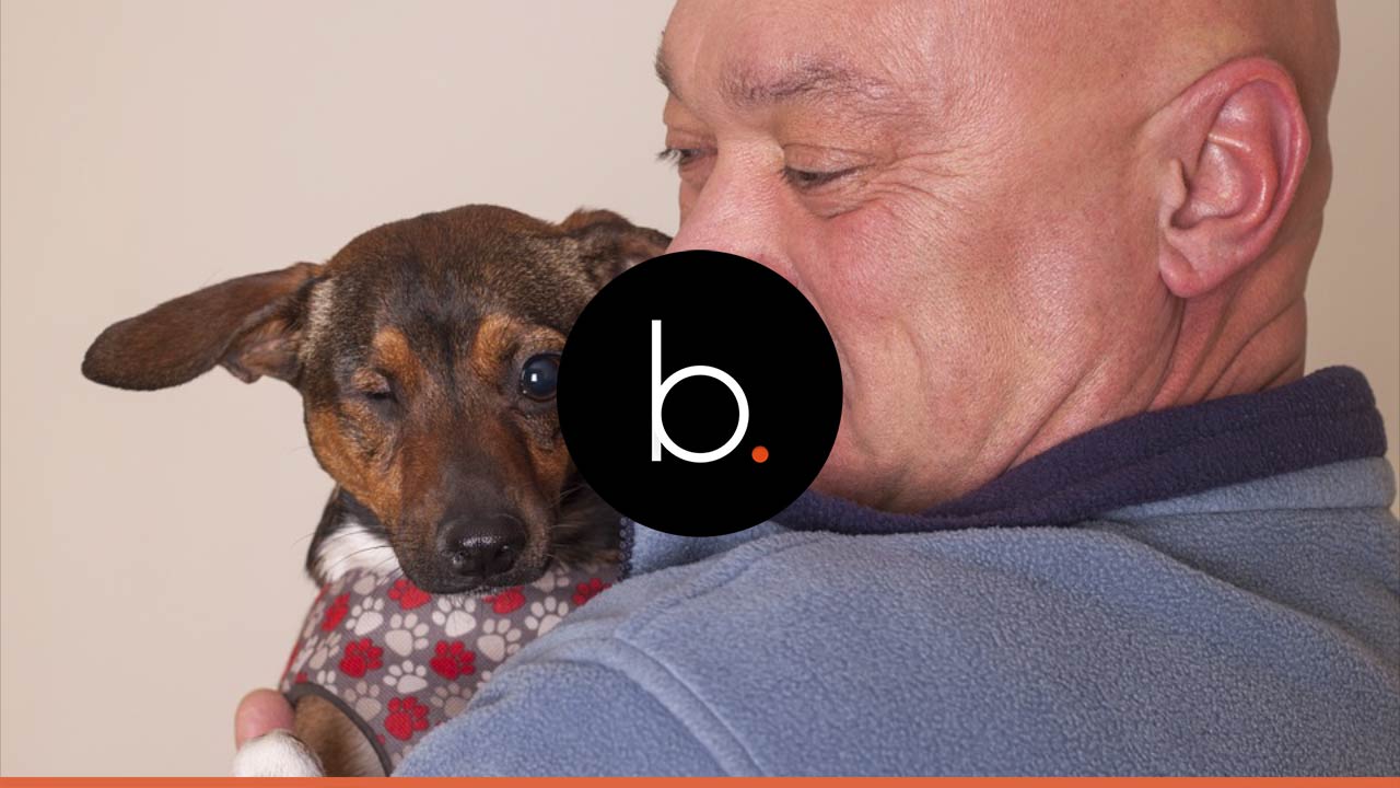 Dogs against cardiovascular disease