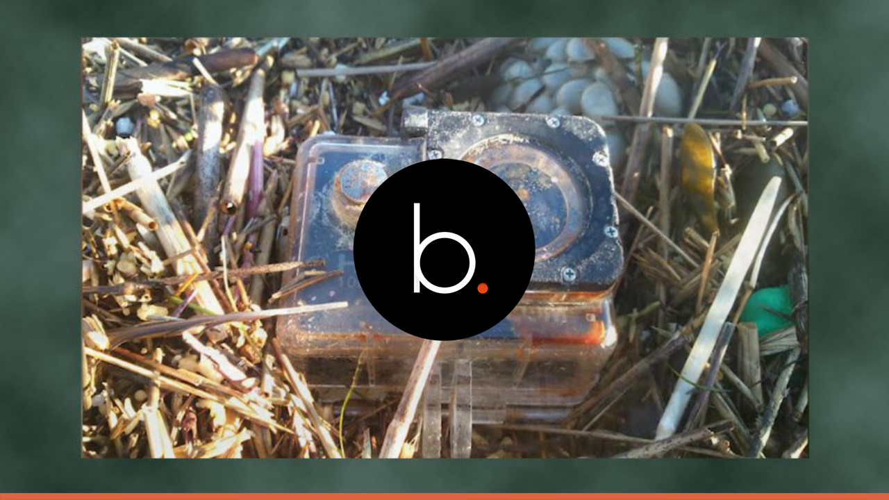Watch as digital camera records its 350 mile journey to German island