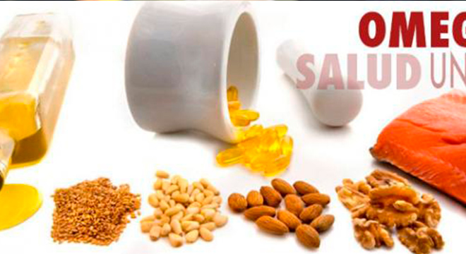 Omega 3 y Ácidos Grasos: ¡Excelentes alimentos para el cuerpo!