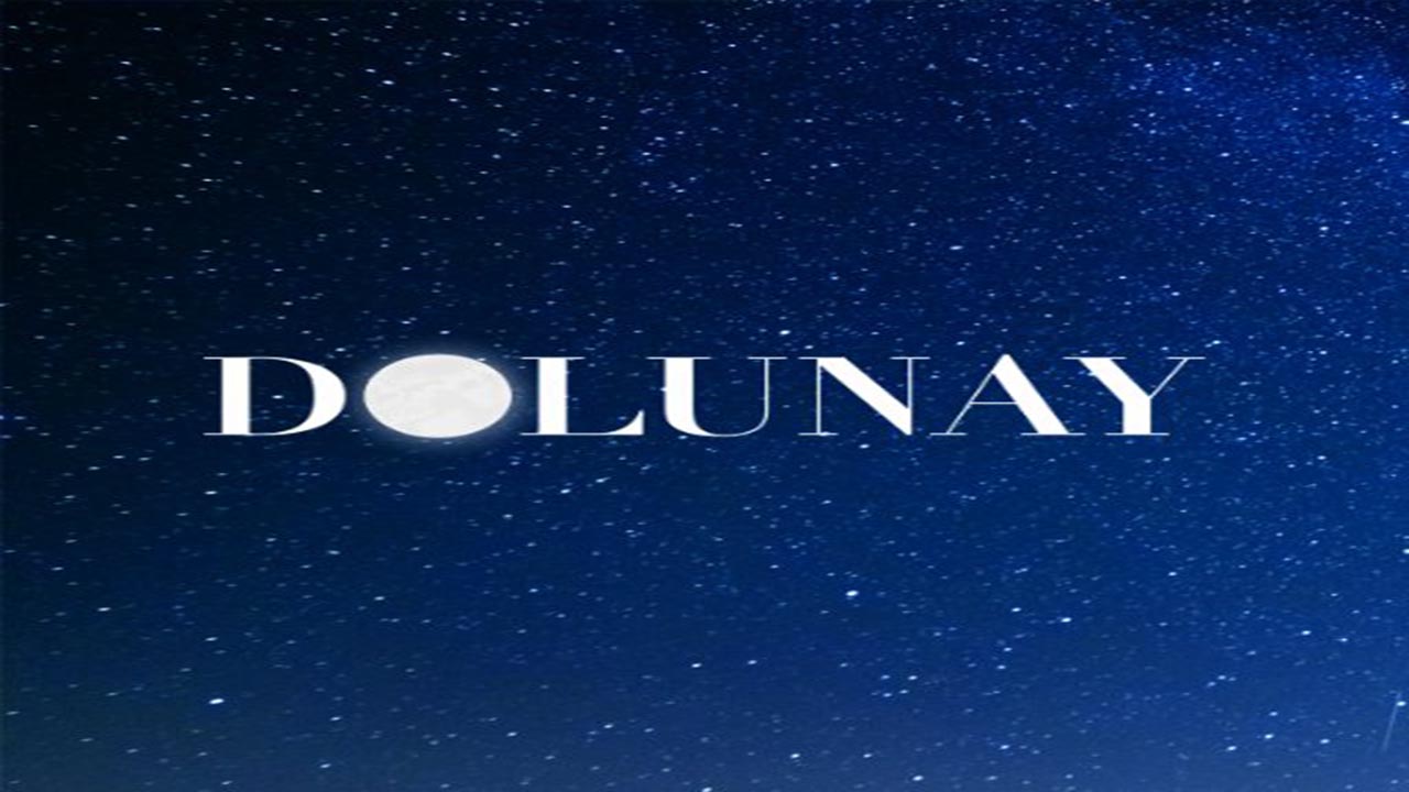 Domenica 31 dicembre 2017 è andata in onda la ventiseiesima puntata di dolunay