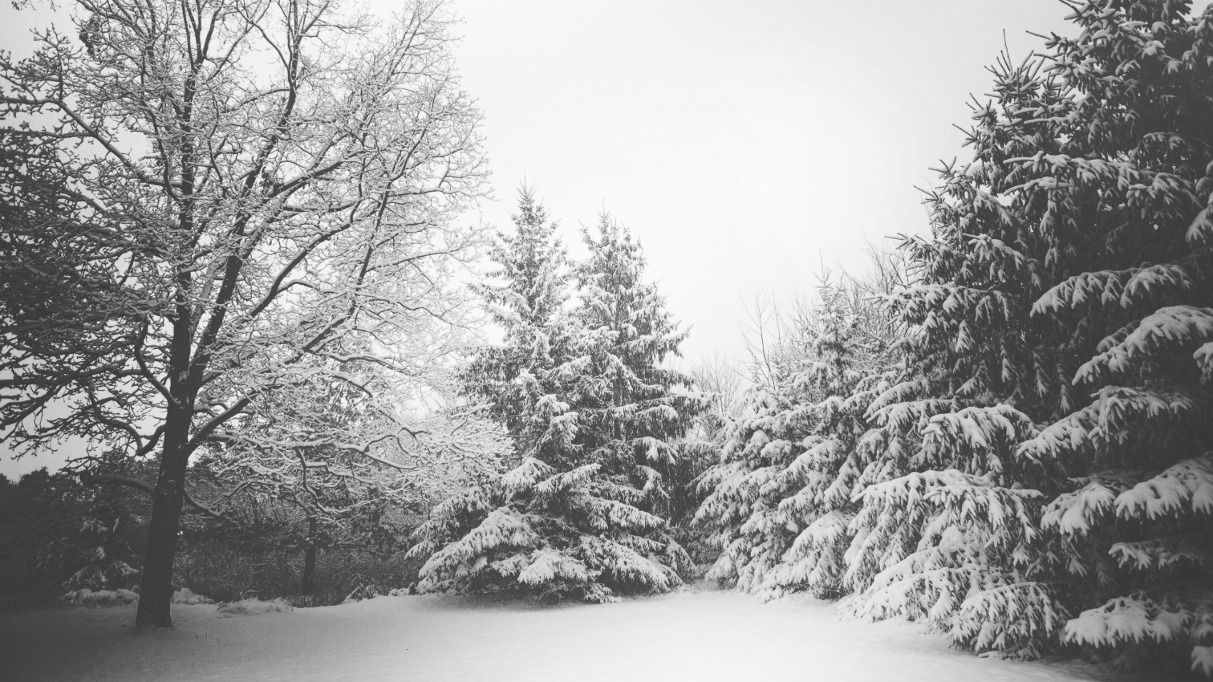 Combating cabin fever with fun winter activities