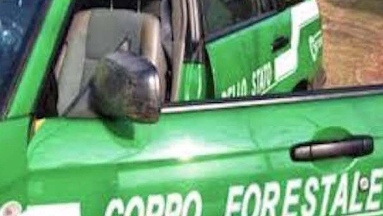 Befana senza carbone per i Carabinieri Forestali