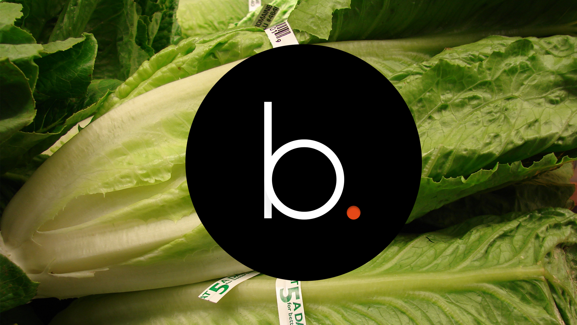 Warning: Romaine lettuce linked to deadly E. coli outbreak