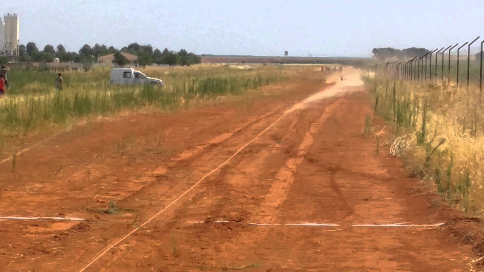 Cierre de la pista de galgos en Macao aumentará fallecimiento de perros