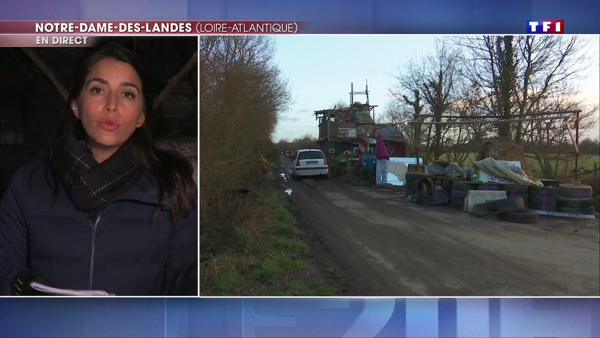Notre-Dame-des-Landes: ¿Por qué el gobierno eligió el abandono?