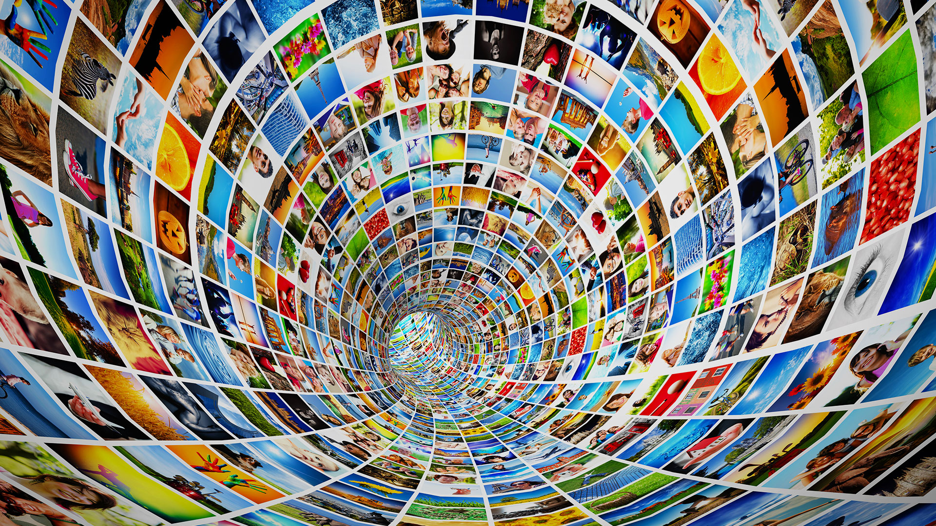 From strength to strength, the new media film festival has grown to what it is