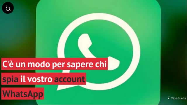 WhatsApp cu spia