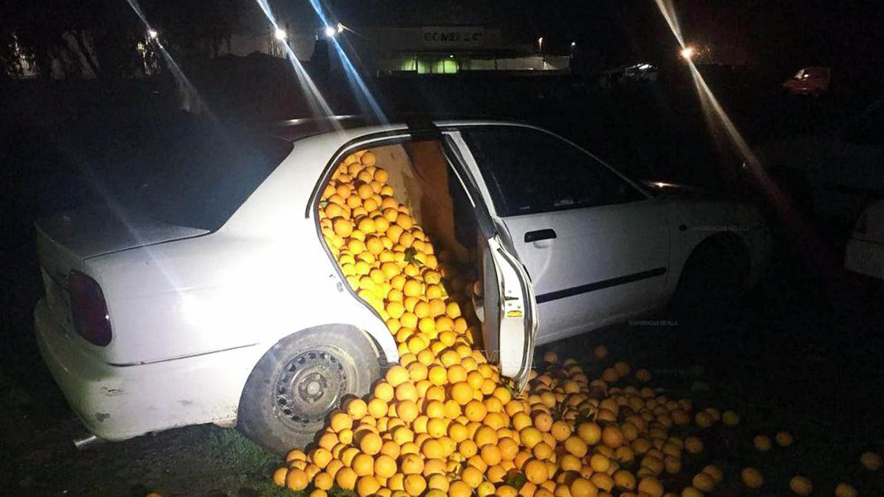 Thieves nabbed in juicy heist with 4 tons of Seville oranges