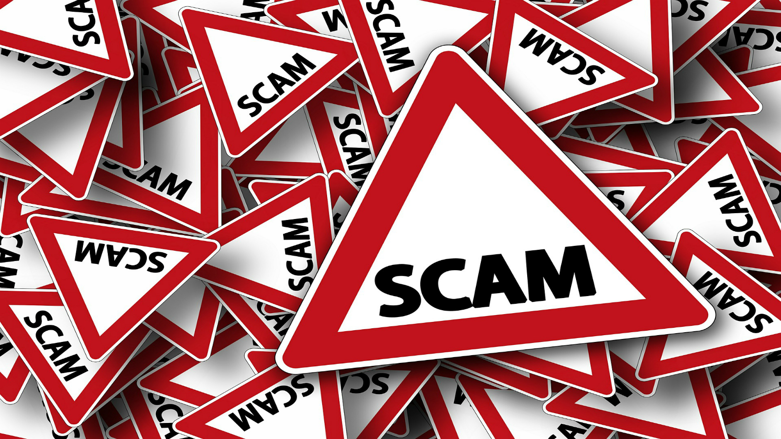 Fans believe Meri Brown could be a victim of an illegal pyramid scheme.