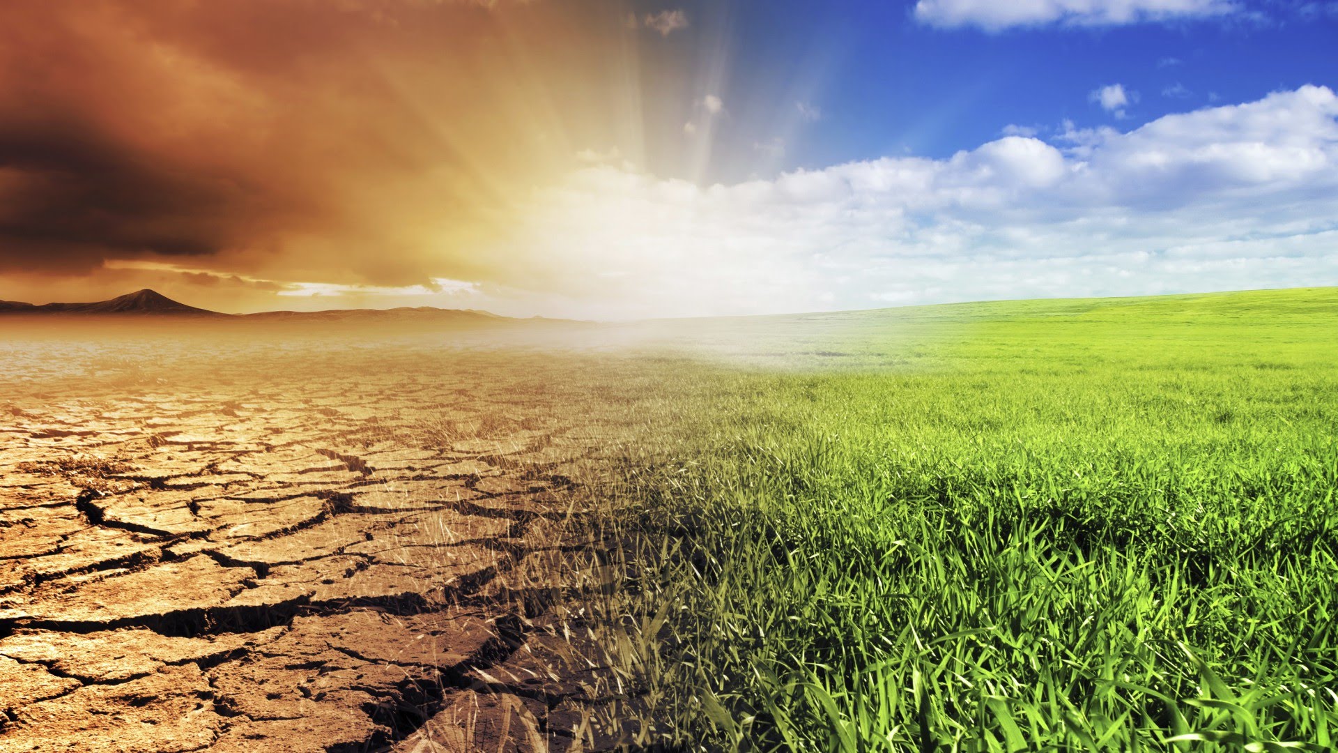 El cambio climático puede estar detrás del chasquido frío en el noreste