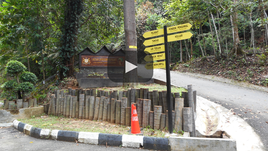 En Malasia, reserva forestal de Gunung Pulai una pareja fue encontrada