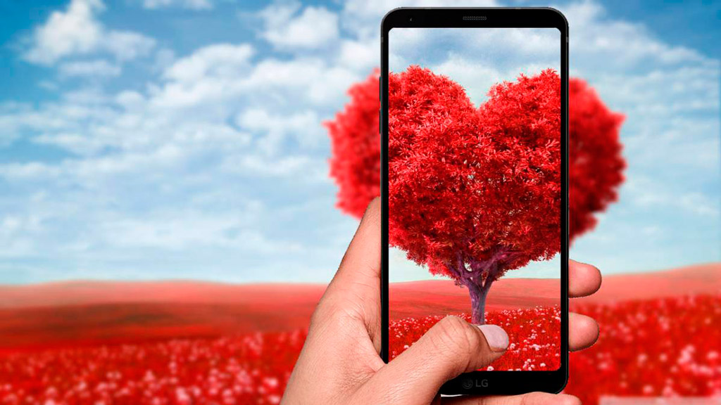 VIDEO: La "cruda realidad" del día de San Valentín
