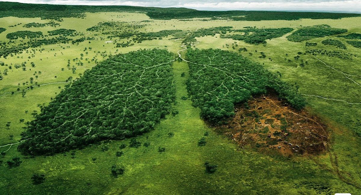 La naturaleza es mucho más que una mercancía