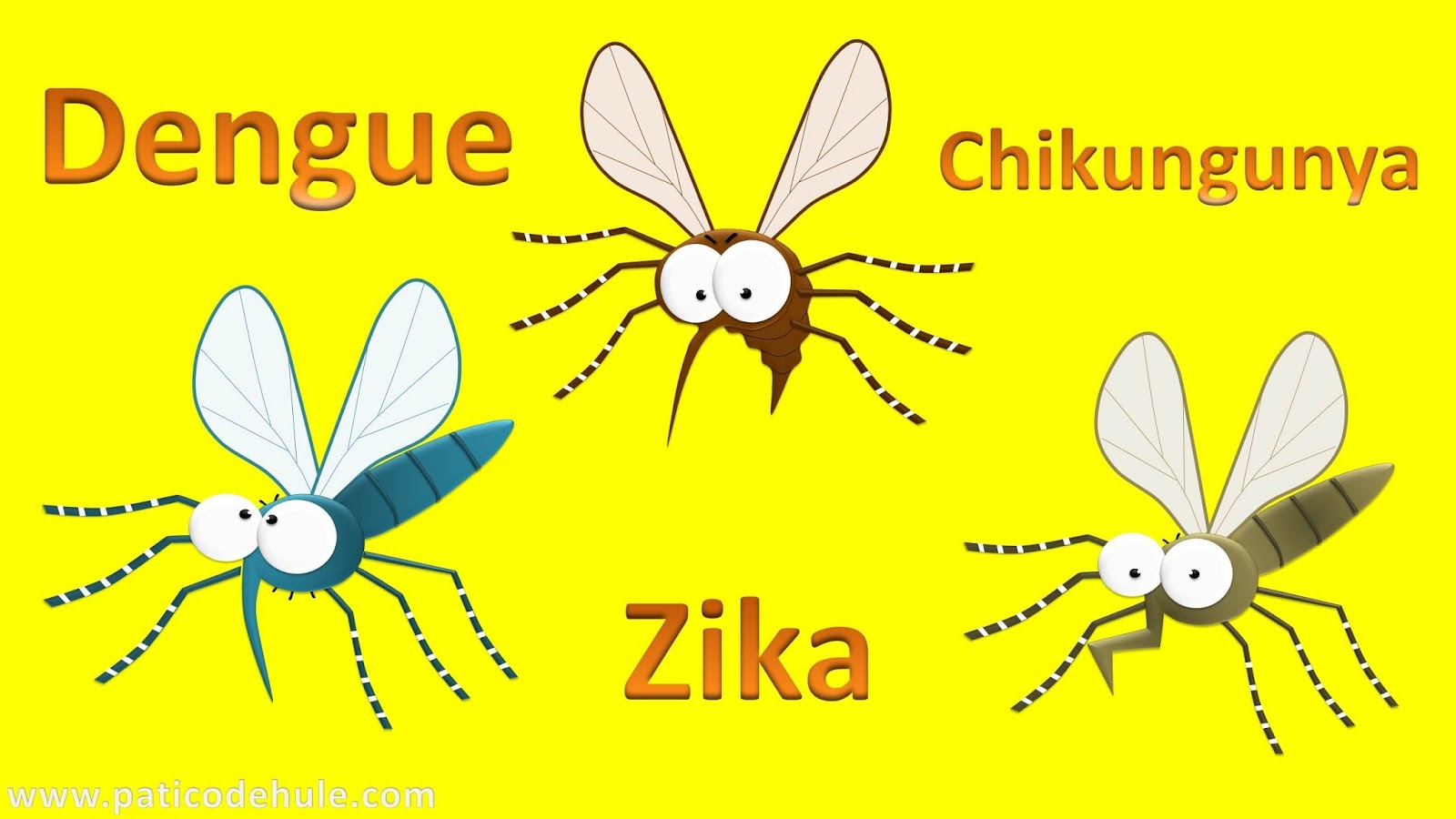 Dengue: sus síntomas y prevención