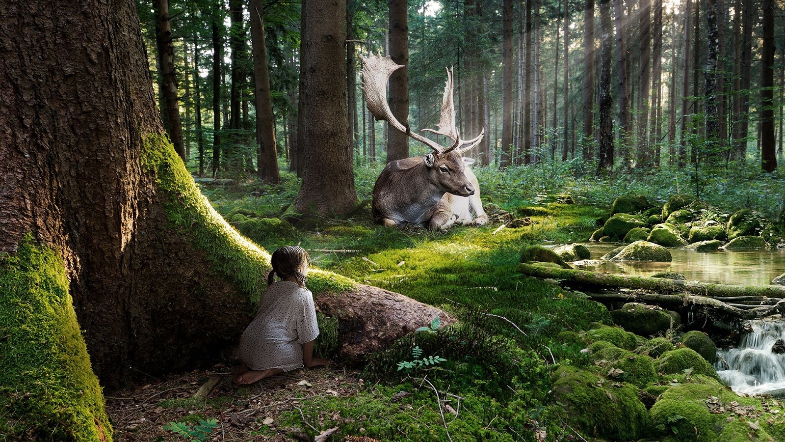 La importancia de los bosques en el planeta