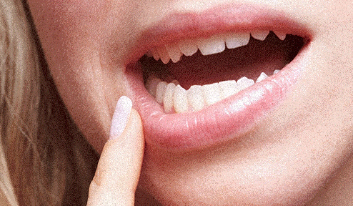 Conheça um pouco mais sobre os seus dentes