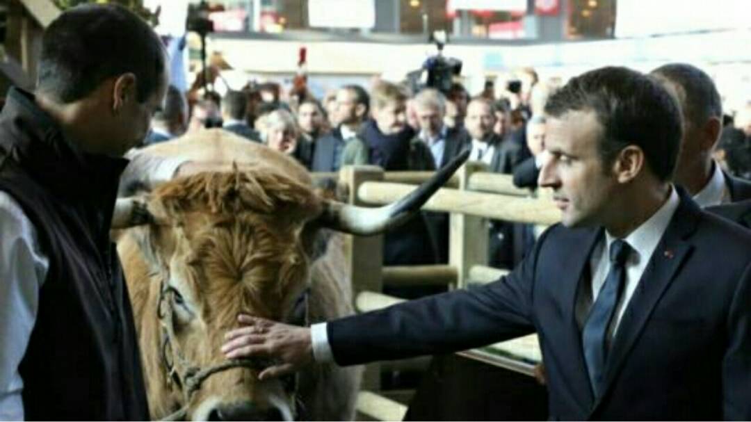 Le message d'Emmanuel Macron au Salon de l'Agriculture