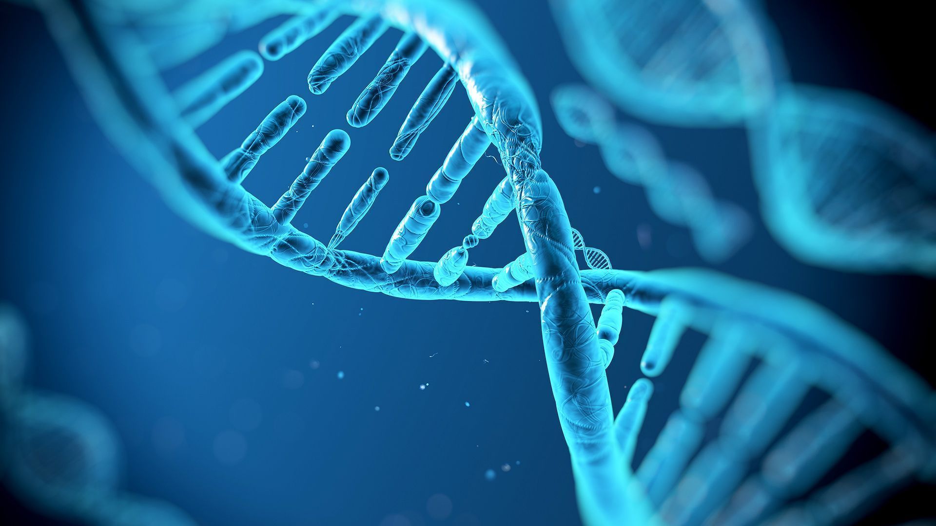 Descubren en Italia cómo modificar el ADN con fines terapéuticos
