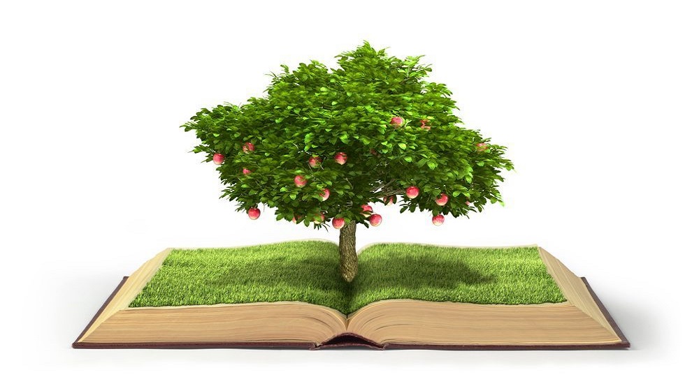 Educación, promoción de aceptación y sensibilización ambiental