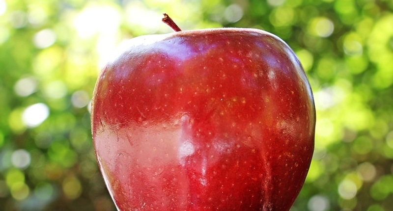 ¡Los 10 mejores alimentos para una cura de desintoxicación!