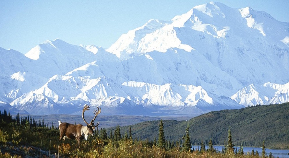 Partícula radioactiva mística sobre Alaska: "Sin fuente natural".