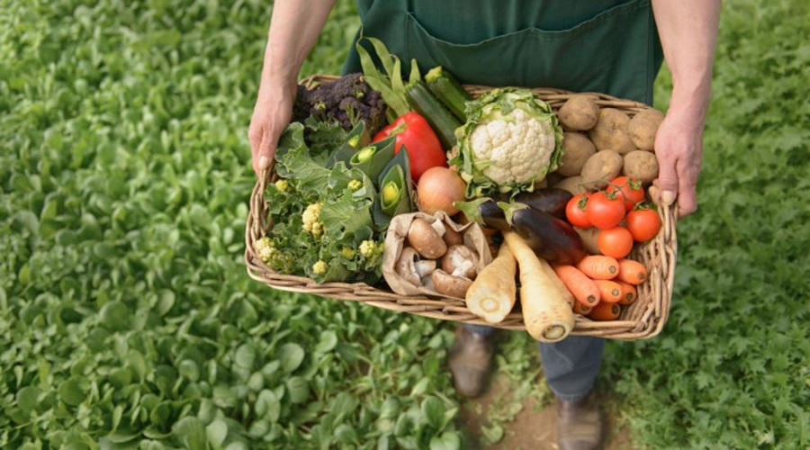Hacia 2030 la contribución de la agricultura al bienestar y la alimentación