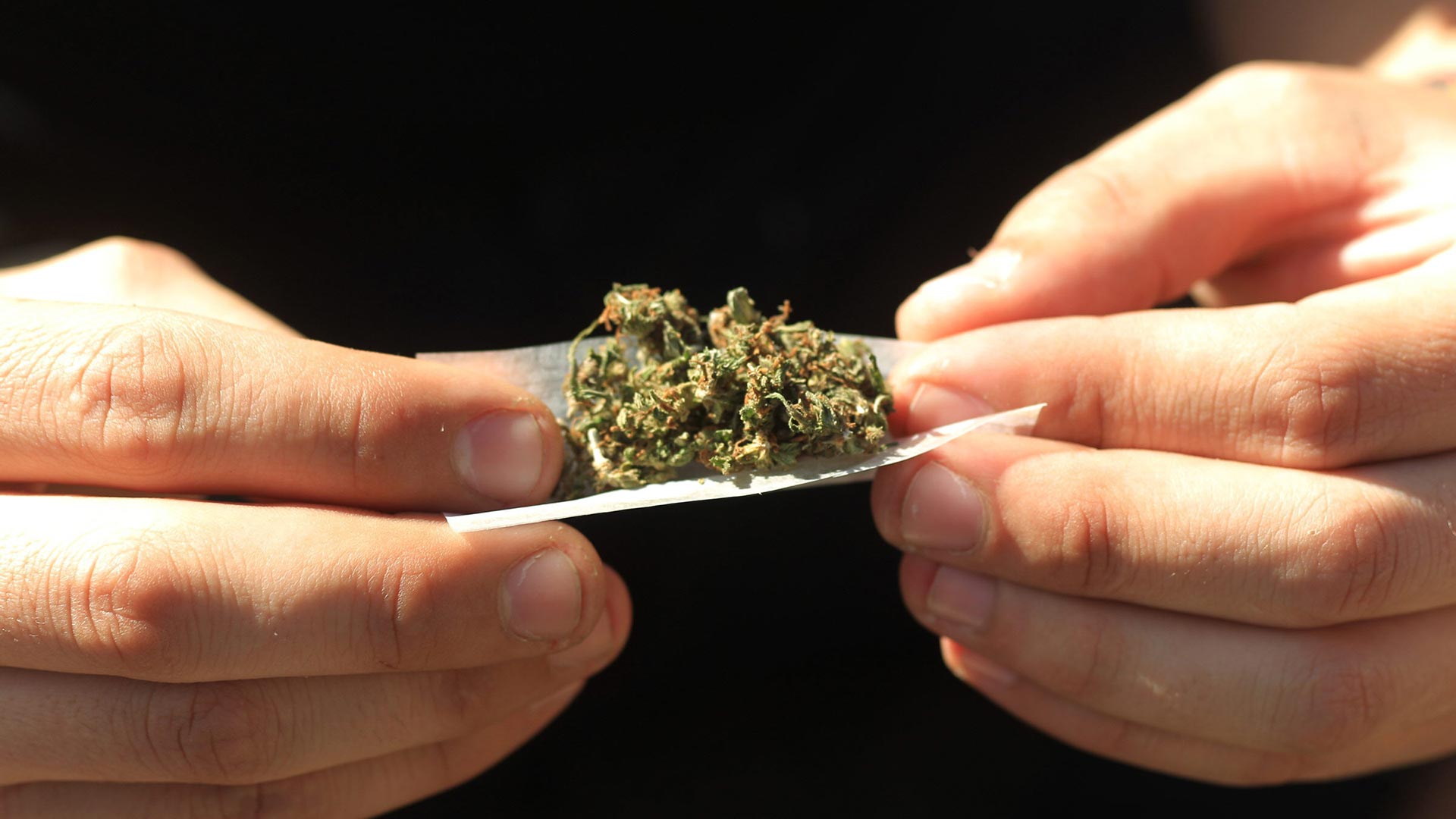 Nerviano: la droga que afecta al cáncer y la destruye es 'Entrectinib'