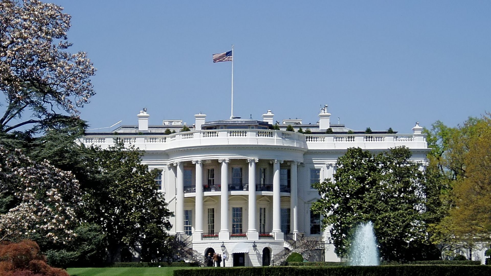 ¡El diseñador floral en jefe de la Casa Blanca, una posición prestigiosa!