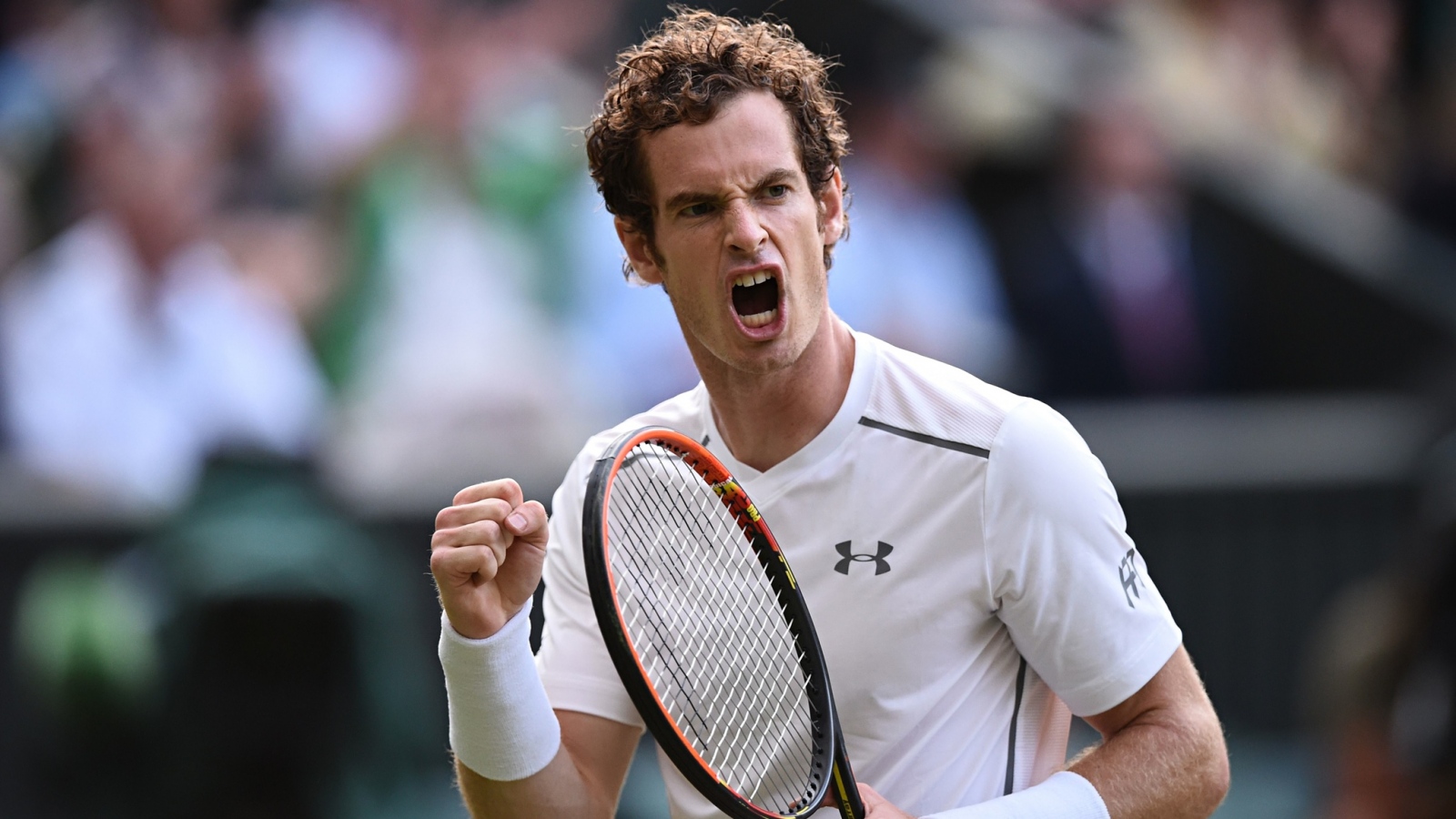 el regreso de Andy Murray todavía está en el aire