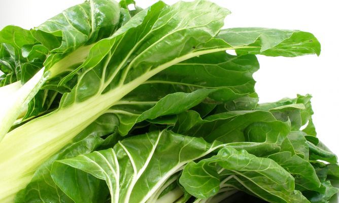 Dieta de acelga: así es cómo perder una libra en tres días