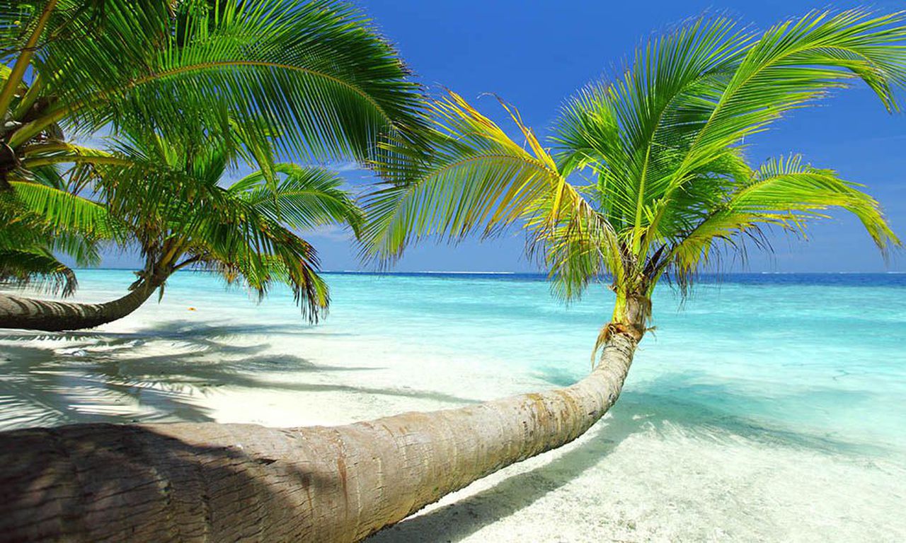 Why Jamaica should be your next travel destination this summer