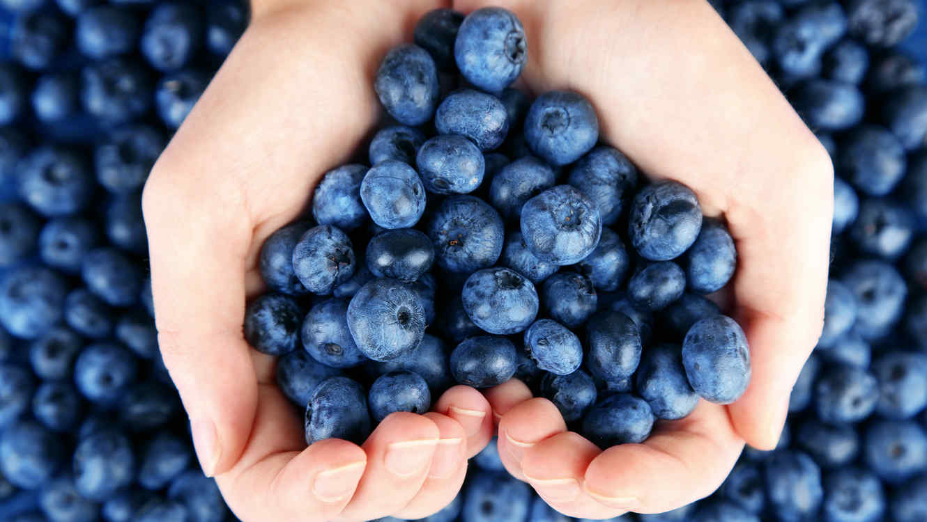 4 alimentos que son buenas fuentes de resveratrol