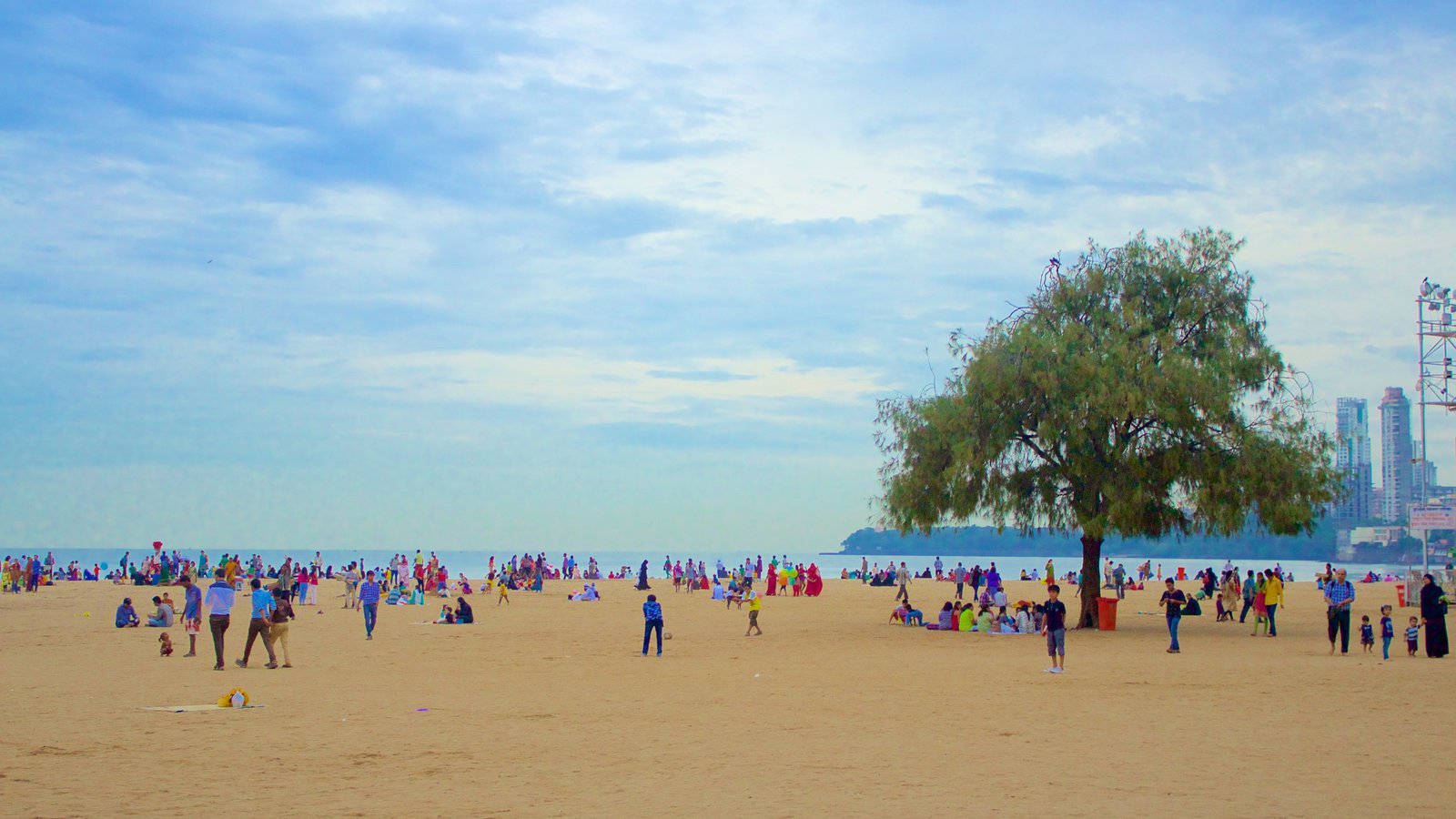 La playa de Mumbai va de un vertedero a un criadero de tortugas en dos años