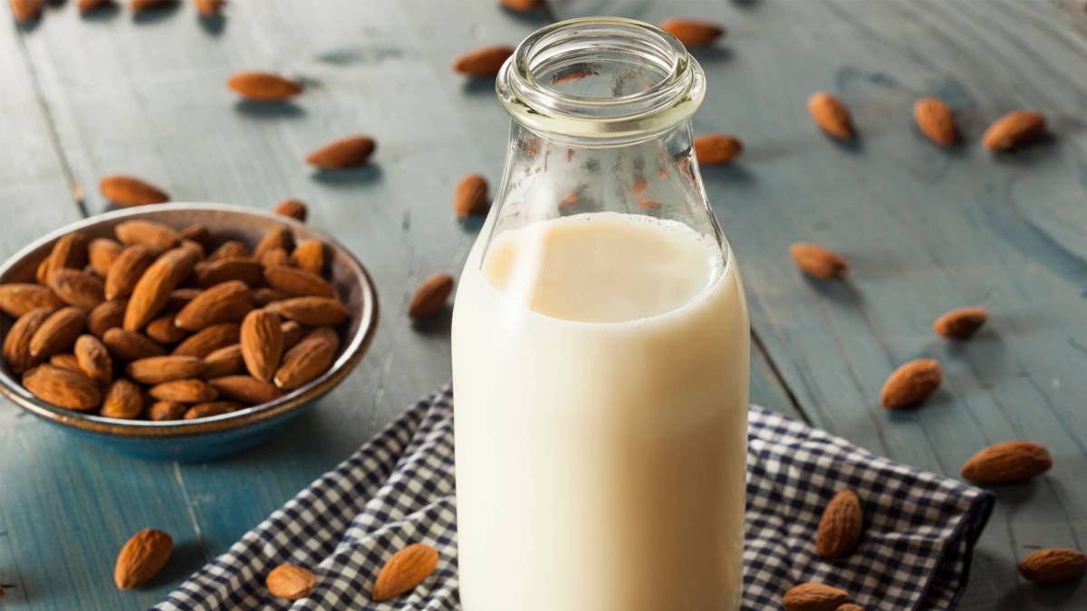 ¿Por qué todavía no logras preparar leche vegetal casera?