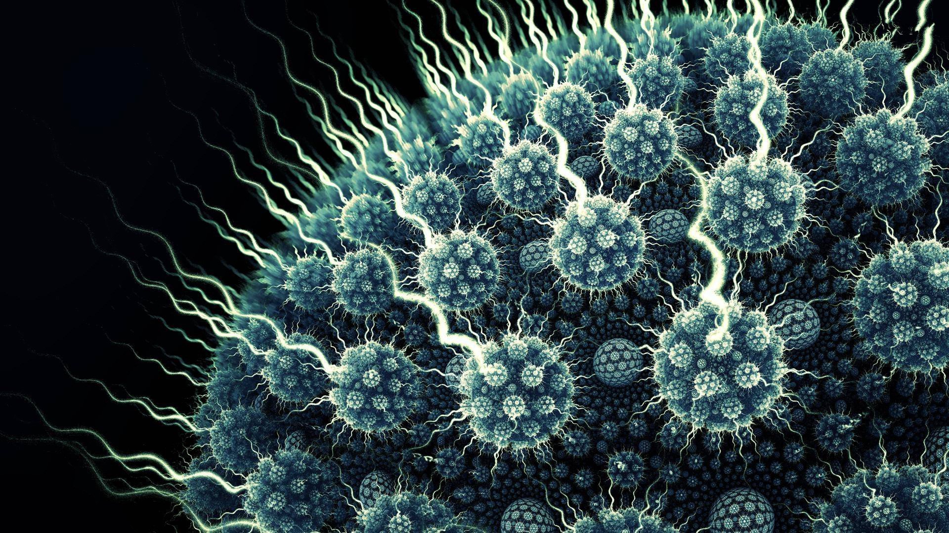 Los virus hablan entre ellos: aquí está el descubrimiento