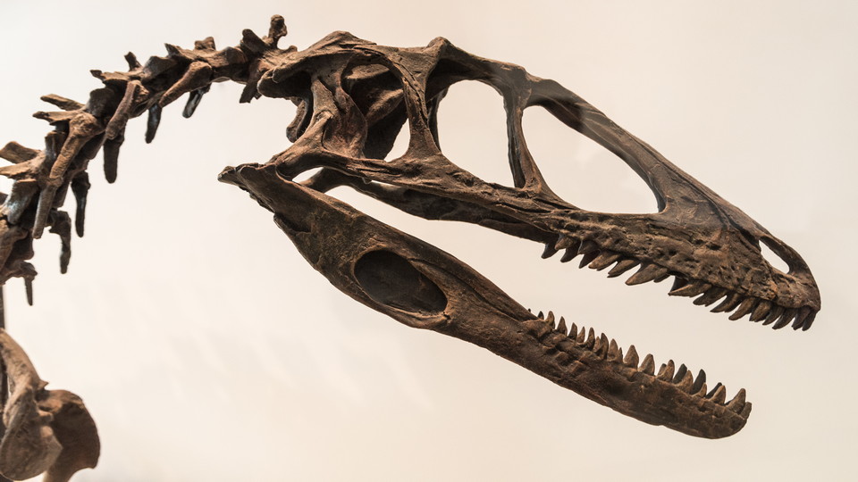 Doble entrega de 'Jurassic World'