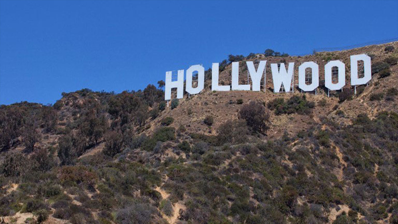 Netflix va payer 300 millions de dollars pour s’afficher à Hollywood !