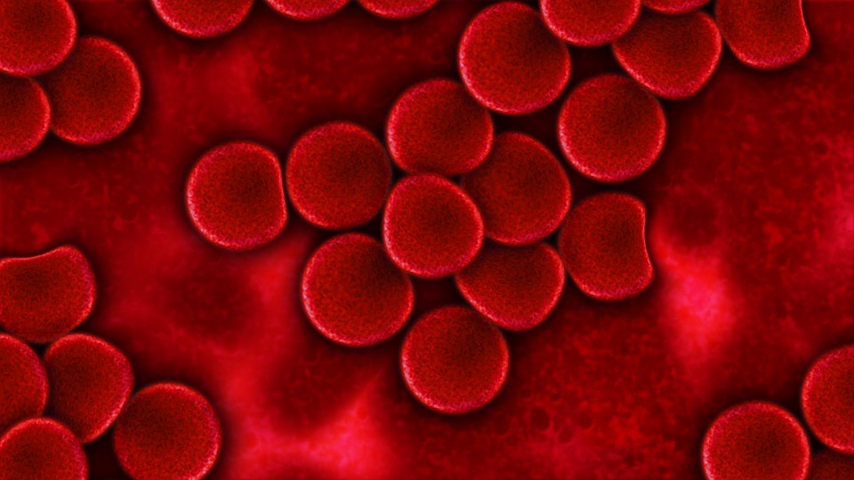 Mulheres, cuidado, a cor do sangue menstrual revela algo sobre sua saúde, veja