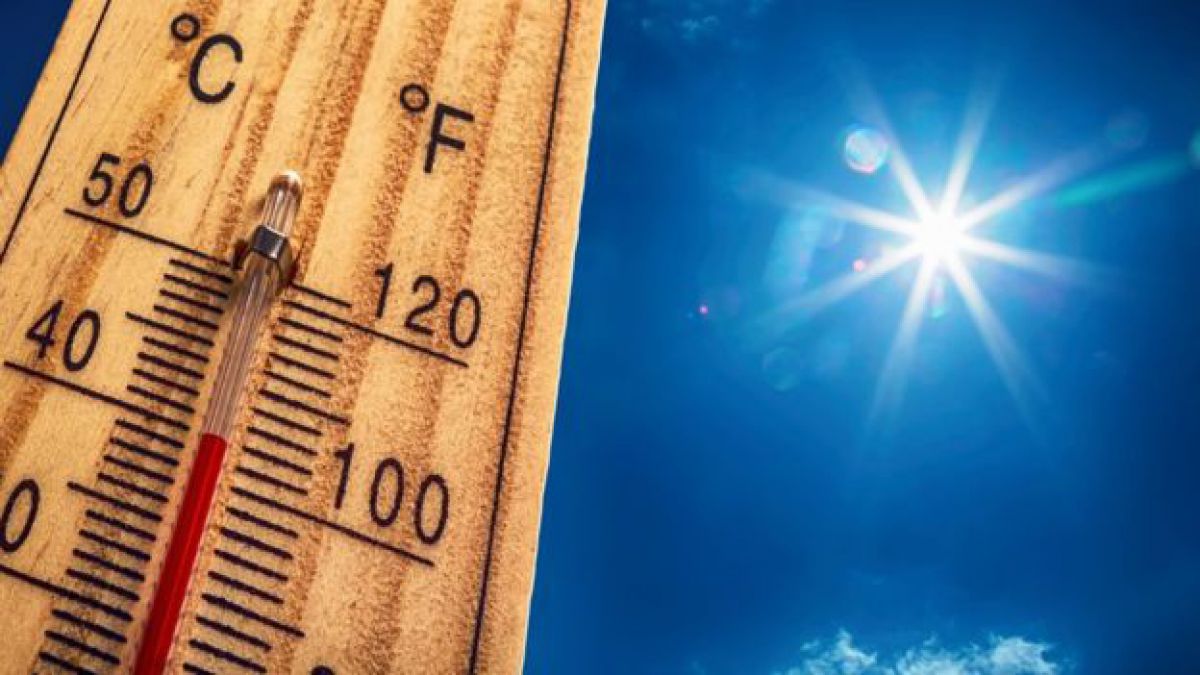 ¿Los días calurosos son menos avaros que el clima frió?