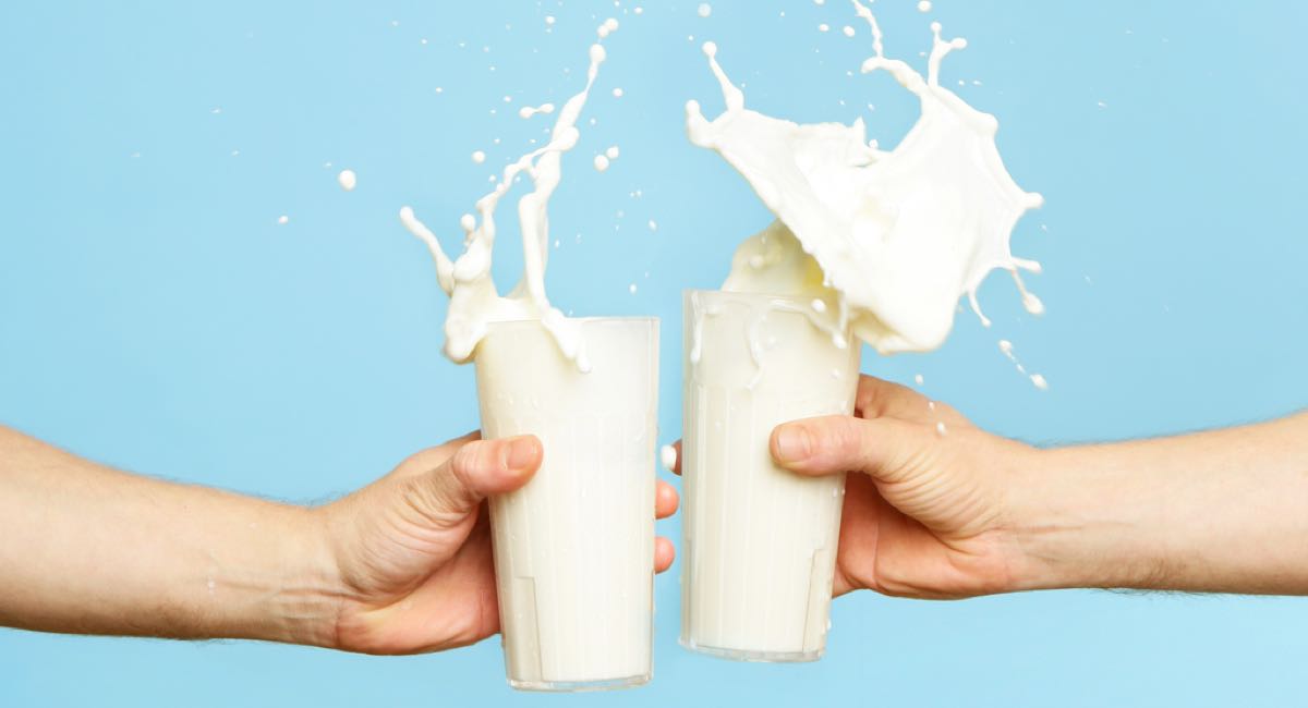 ¿Los riesgos de la leche entera son un mito?