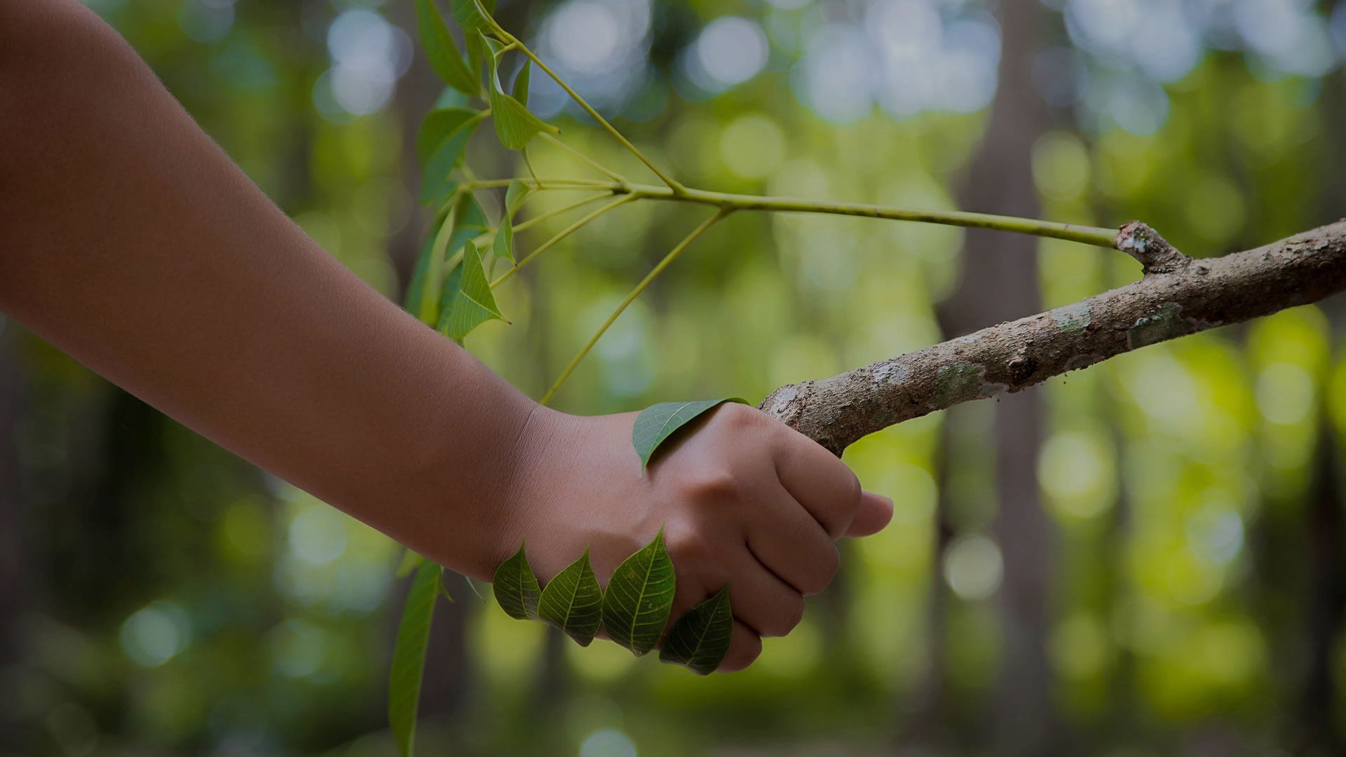 22 de abril es el Día de la Tierra: rinde homenaje al medio ambiente