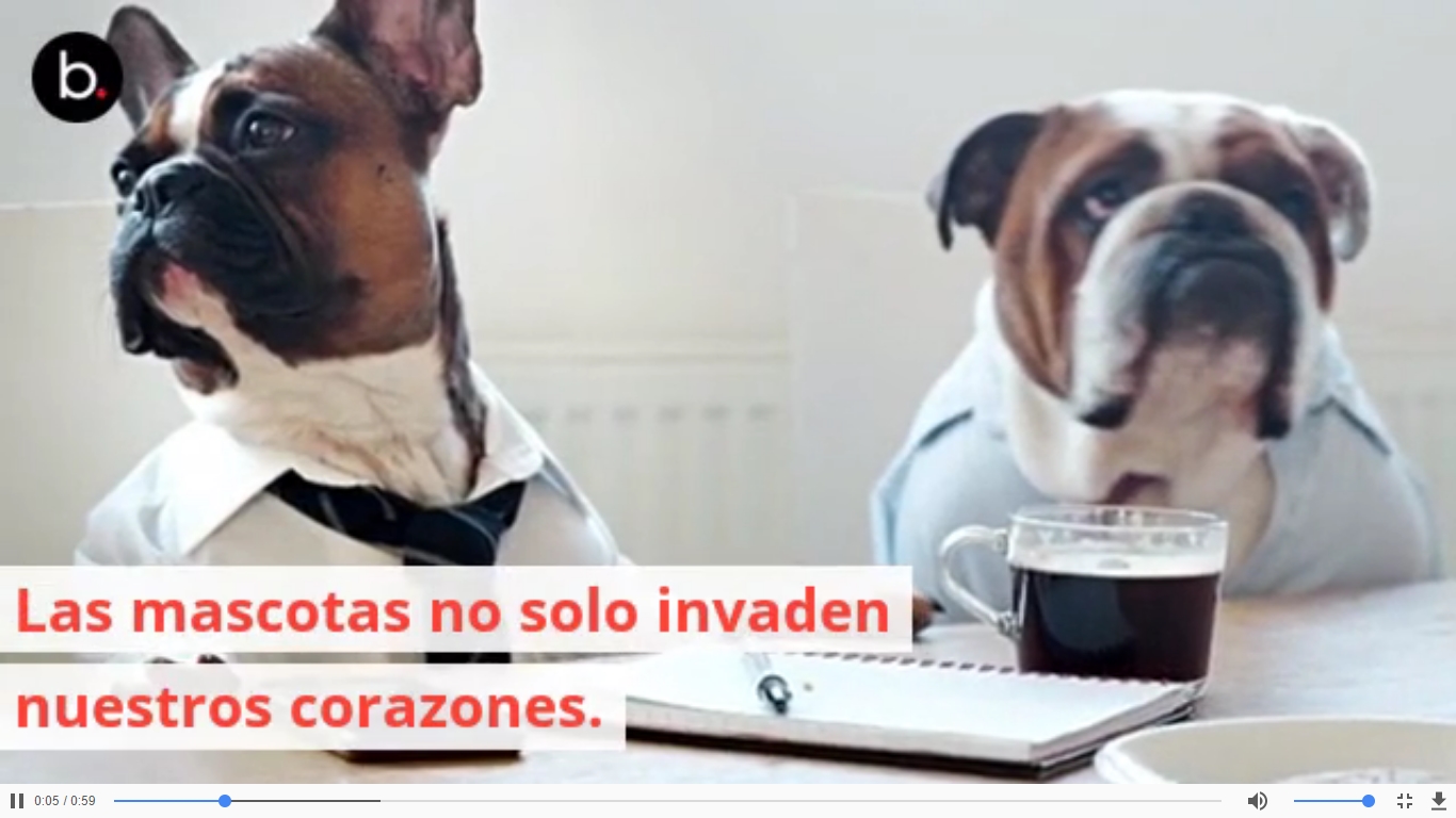 Mascotas en el trabajo: una tendencia peluda que invade el mercado